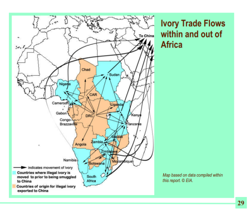 Ivoor netwerk Afrika